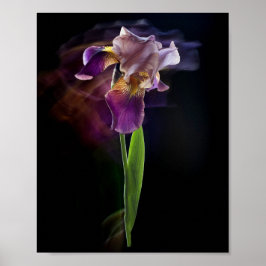 Poster Flor de Íris Abstrata – Arte Floral Elegante