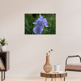 Poster Flor de Íris de Vinca Bonita