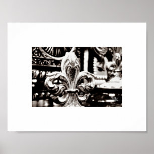 Poster Flor de lis [impressão]