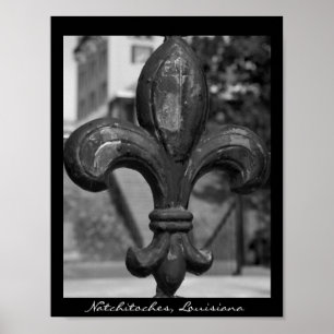 Póster Flor de lis Natchitoches do ferro forjado