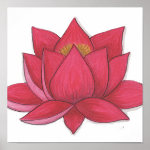 Poster Flor de Lótus