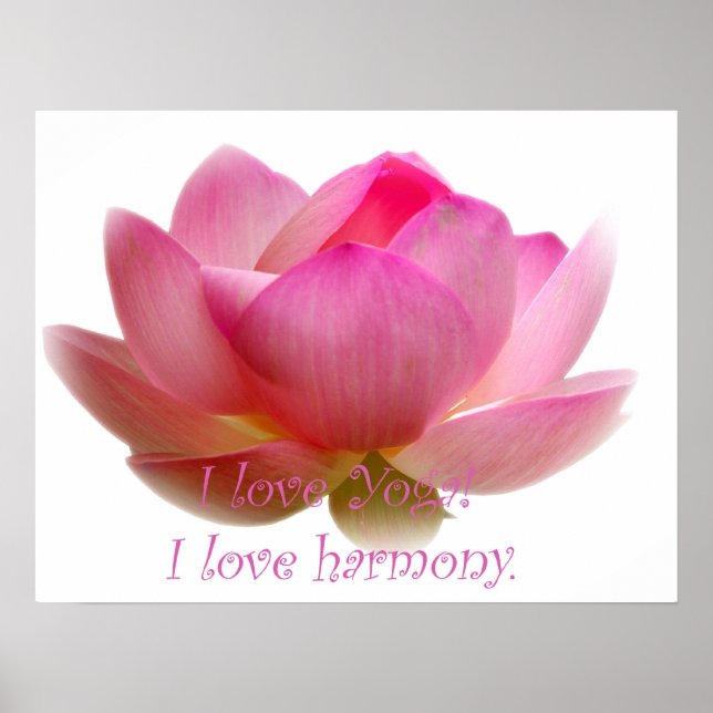 Poster Flor de Lotus (Frente)