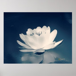 Póster Flor de Lotus Azul