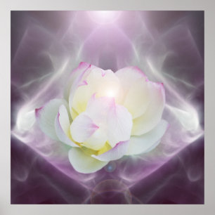 Poster Flor de lótus brancos no cristal