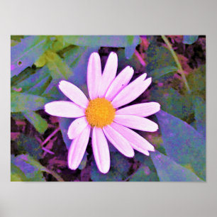 Poster Flor de margarida rosa
