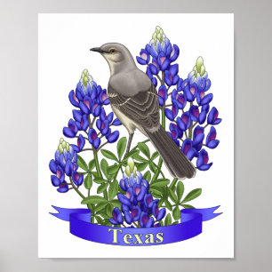 Póster Flor de Mockingbird e Bluebonnet, estado do Texas