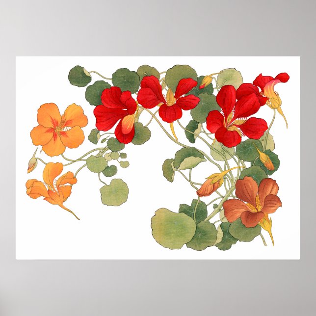 Poster Flor de nasturtium, ukiyo e arte japonesa (Frente)