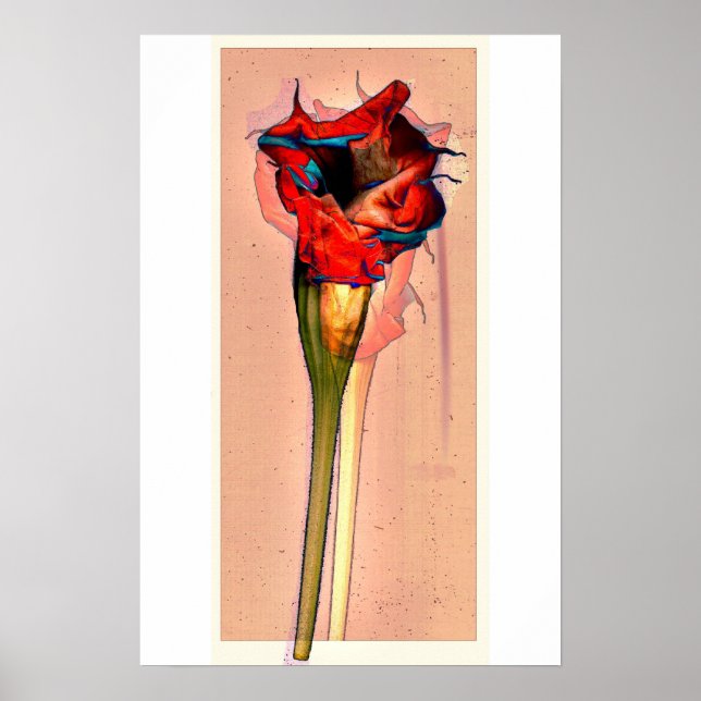 Poster Flor de Paixão #1 (Frente)