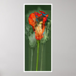 Póster Flor de Paixão #6