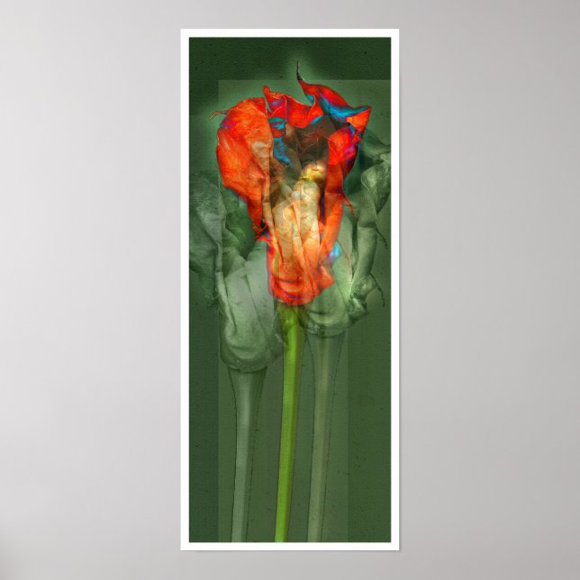 Póster Flor de Paixão #6 (Frente)