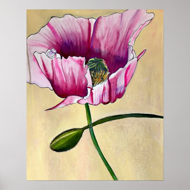 Poster Flor de papoila rosa com aquarelas (Frente)