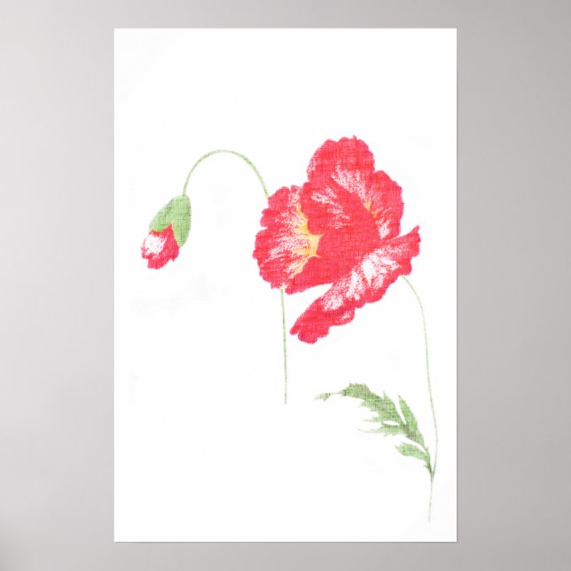 Póster Flor de papoila selvagem (Frente)
