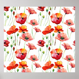 Poster Flor De Papoila: Simples Fundo Sem Olhos.