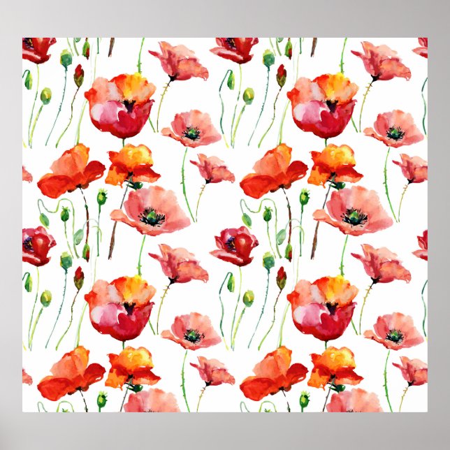 Poster Flor De Papoila: Simples Fundo Sem Olhos. (Frente)