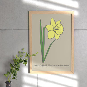 Poster Flor de Pastel de Daffodil Botânico
