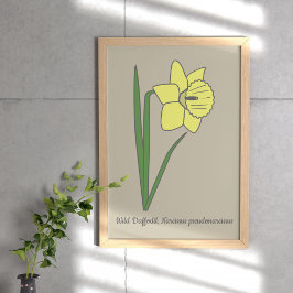 Poster Flor de Pastel de Daffodil Botânico