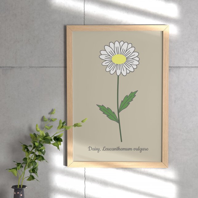 Poster Flor de Pastel de Margarida Botânica (Botanical Daisy Flower Poster)