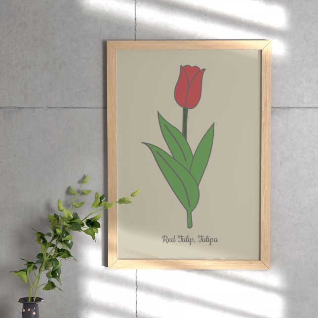 Poster Flor de Pastel Vermelho Botânico (Botanical Red Tulip Poster)