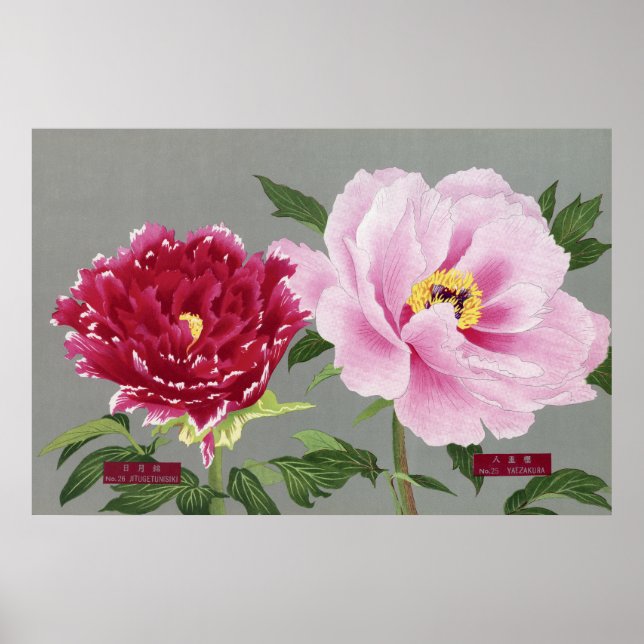 Poster Flor de pedras, rosa e flor vermelha 1939 (Frente)