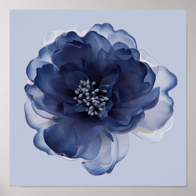 POSTER FLOR DE PEÔNIA AZUL   (Frente)