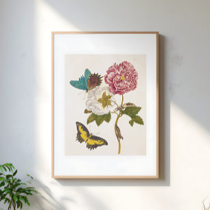 Poster Flor de Peônia Rosa Vintage, Ilustração Floral
