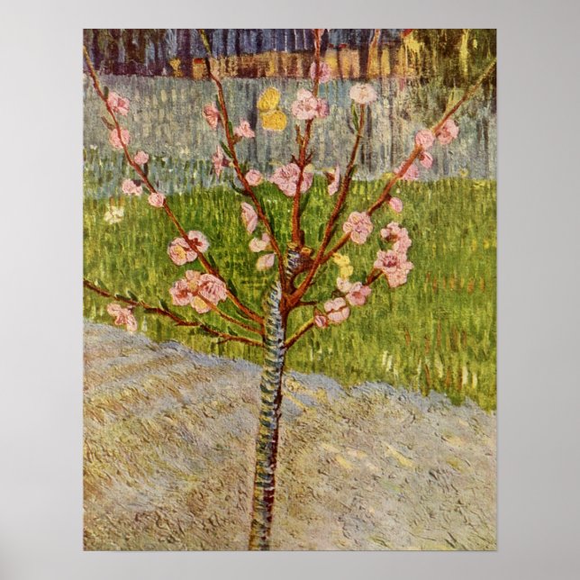 Póster Flor de Pêssego por Vincent Willem van Gogh (Frente)