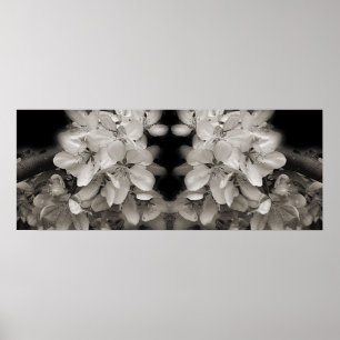 Poster Flor de Primavera Preto e Branco Espelho Abstrato