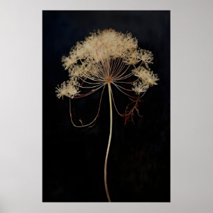 Poster Flor de Queen's Lace Seca Dark Academia, Escuro