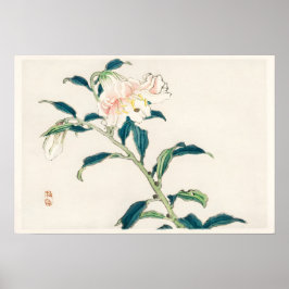 Poster Flor de Rosa