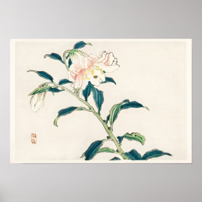 Poster Flor de Rosa (Frente)