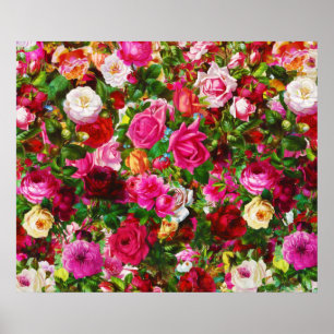 Poster Flor de Rosa Floral Elegage