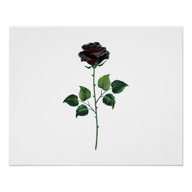 Póster Flor de rosa preta (Frente)