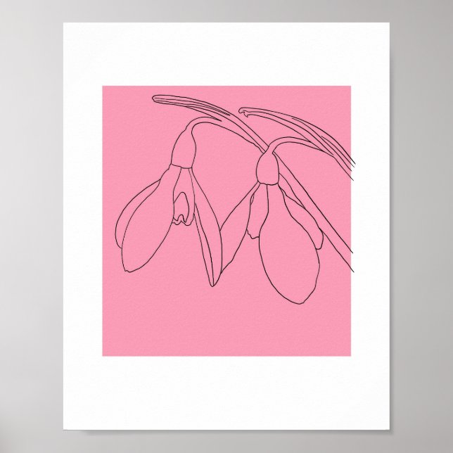 Poster Flor de snowdrop rosa e preto  (Frente)