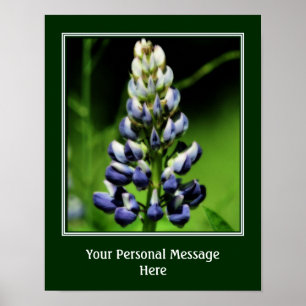 Poster Flor de Tremoço Azul Selvagem Personalizado