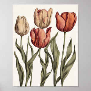 Poster Flor de tulipas