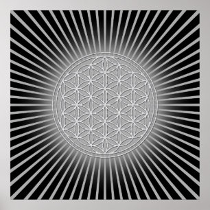 Póster Flor de Vida / Blume des Lebens - branco