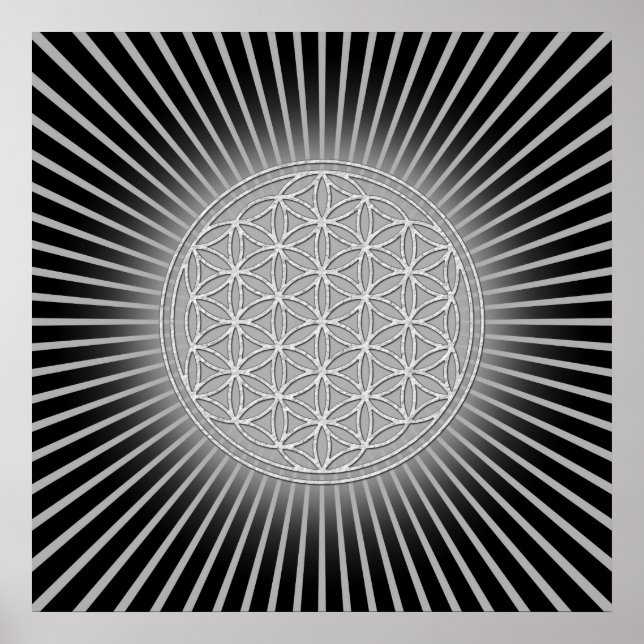 Póster Flor de Vida / Blume des Lebens - branco (Frente)