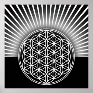 Póster Flor de vida / Blume des Lebens - branco plano