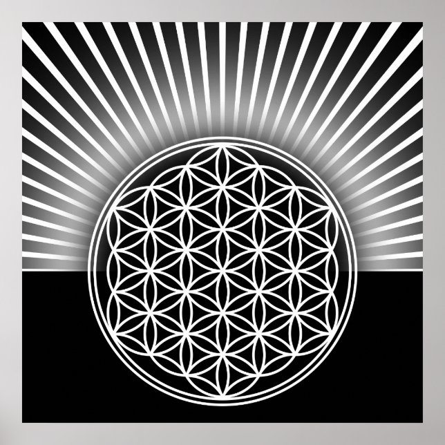 Póster Flor de vida / Blume des Lebens - branco plano (Frente)