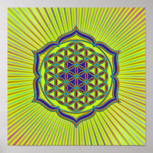 Poster Flor De Vida / Blume des Lebens - Lotus Contour