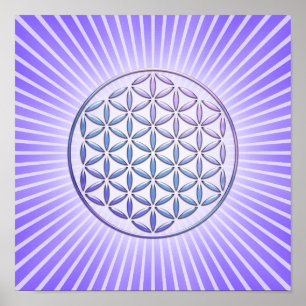 Póster Flor de Vida / Blume des Lebens - violeta de selo
