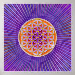 Poster Flor De Vida - Estilo De Botão Violeta Laranja