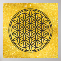 FLOR DE VIDA - Símbolo de Geometria Sagrada contor