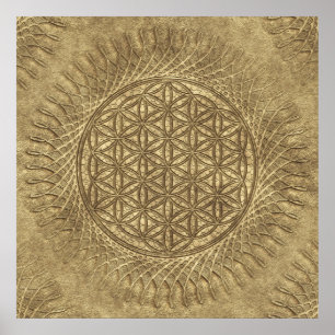 Poster Flor de Vivo - Sol - padrão sem soldadura 4