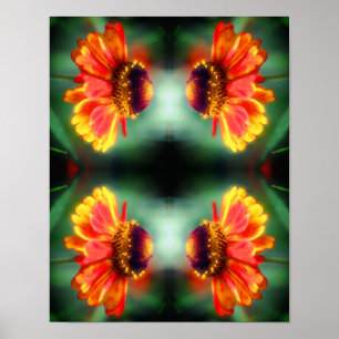 Poster Flor de Zínia Abstrata Sonhadora 
