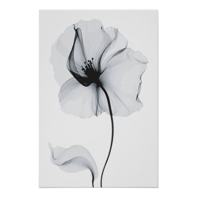 Póster Flor Deslumbrante: Reflexo Radiante da Natureza (Frente)