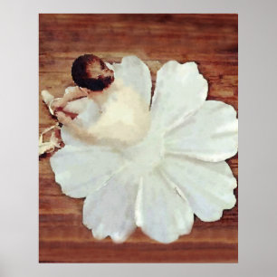 Poster Flor do balé