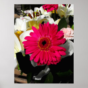Póster Flor do Gerbera em um grupo de flores