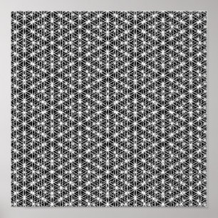 Póster Flor do Weave intrincado #3 da vida