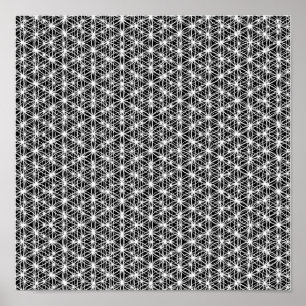 Póster Flor do Weave intrincado #4 da vida